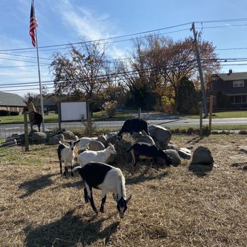 Goodale Farms - Beeeh - Farmers Market Near Me - Riverhead, New York