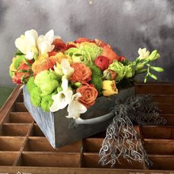 Laurel & Fig
