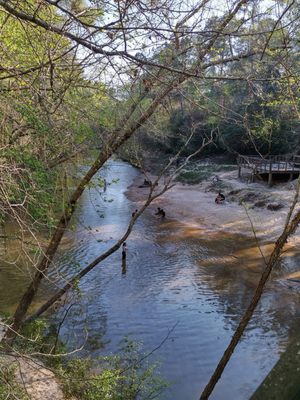 Lake Houston Wilderness Park by null