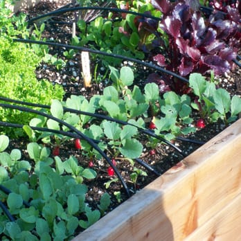 Farmscape - Landscaping Near Me - Los Angeles, California