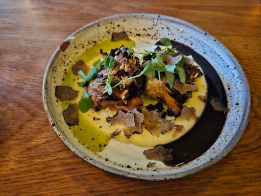 Canard by null