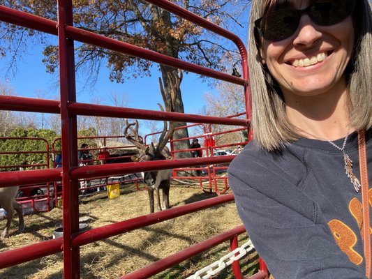 National Museum of Transportation by null