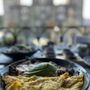 Photo of Comal