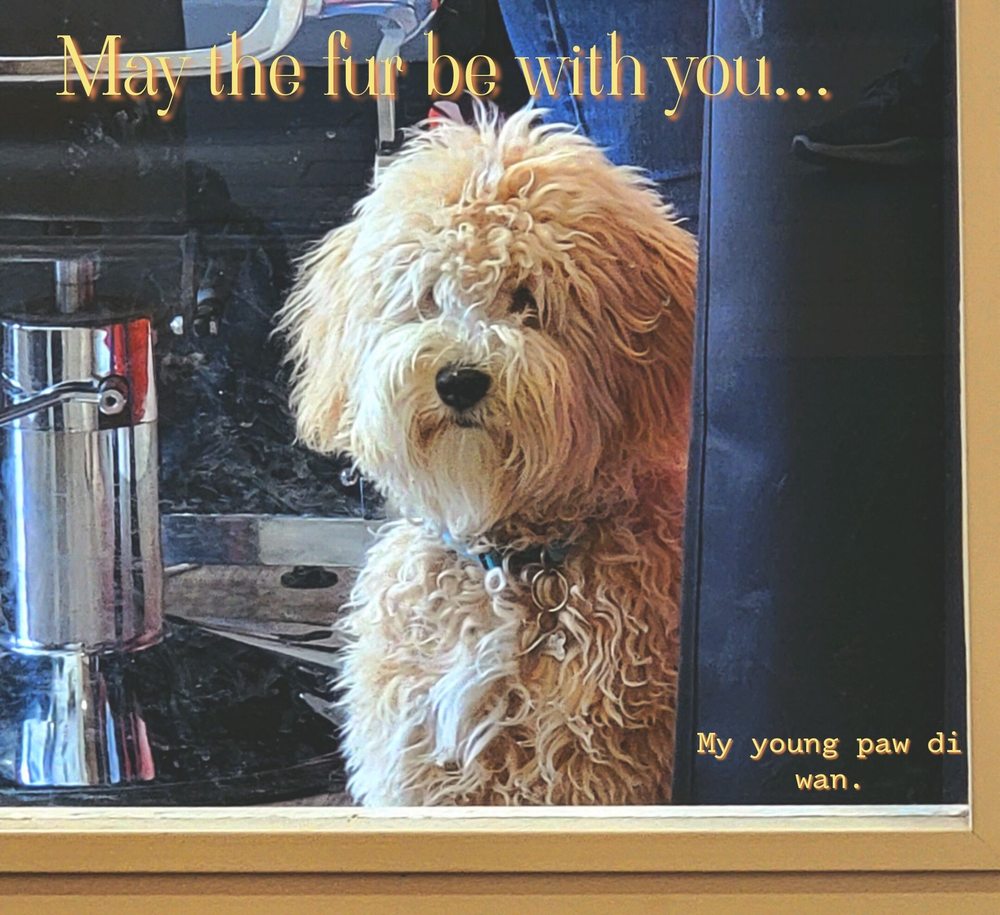 The Driven Barbershop Logo