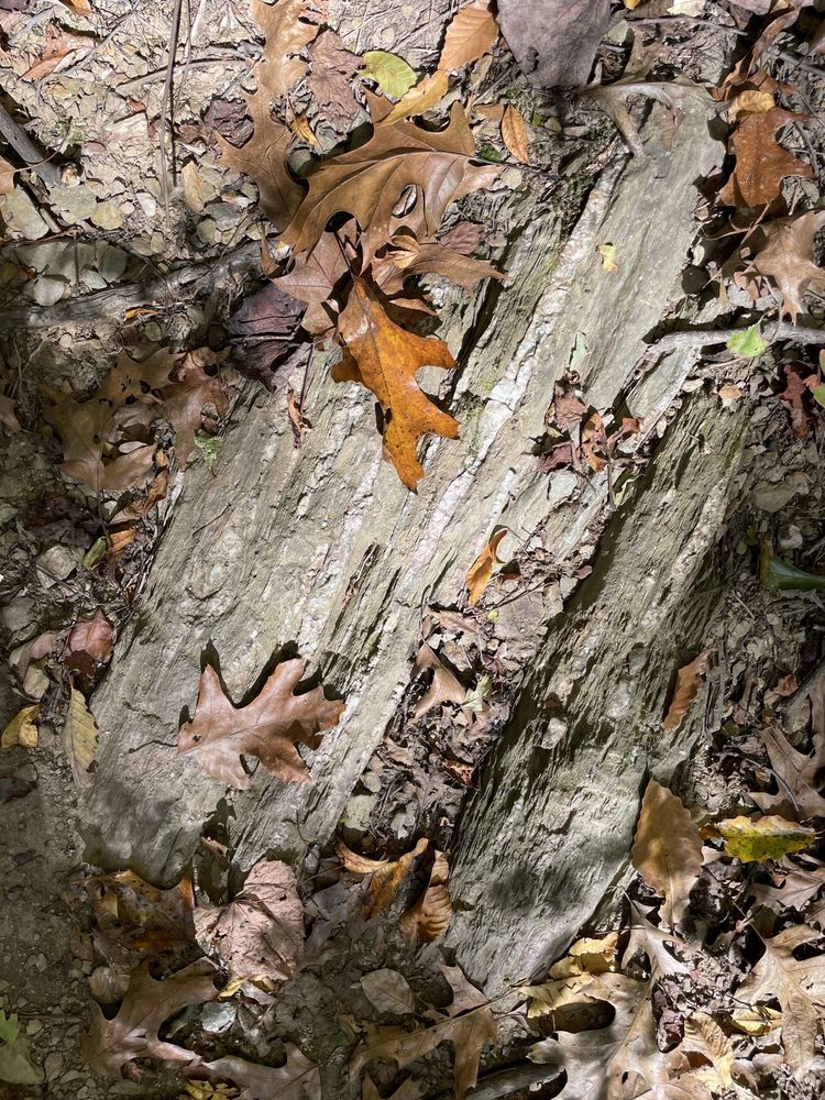 WILLIAM H KAIN MEMORIAL PARK Updated September 2024 28 Photos 274