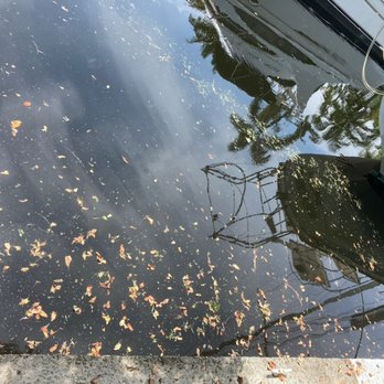 Thomas Noder Lawn service - Leaves in Rockfish Canal - Landscaping Near Me Thomas Noder Lawn service - Leaves in Rockfish Canal - Landscaping Near Me