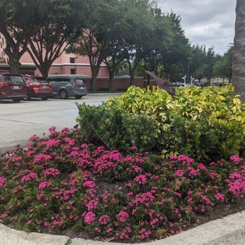 Caribe Royale Orlando - Hotels Near Me - Orlando, Florida