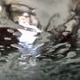 Photo of Inside Out Express Carwash