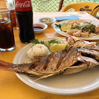 El Oasis del Holi - Pescado Frito - Mexican Near Me - Puerto Vallarta, JAL