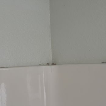 Pacifica Beach Hotel - Mold in the shower - Hotels Near Me - Pacifica, California Pacifica Beach Hotel - Mold in the shower - Hotels Near Me - Pacifica, California