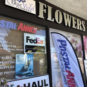 Blue Violet Flowers - Florists Near Me - Thousand Oaks, California