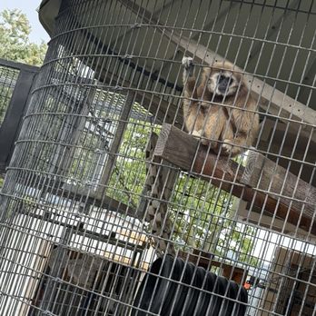 America's Teaching Zoo - Zoos Near Me - Moorpark, California