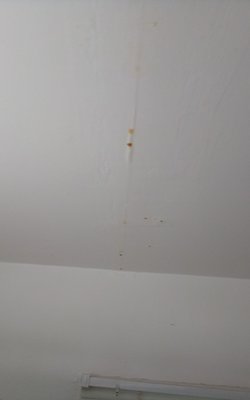 Desert Plaza Apartments