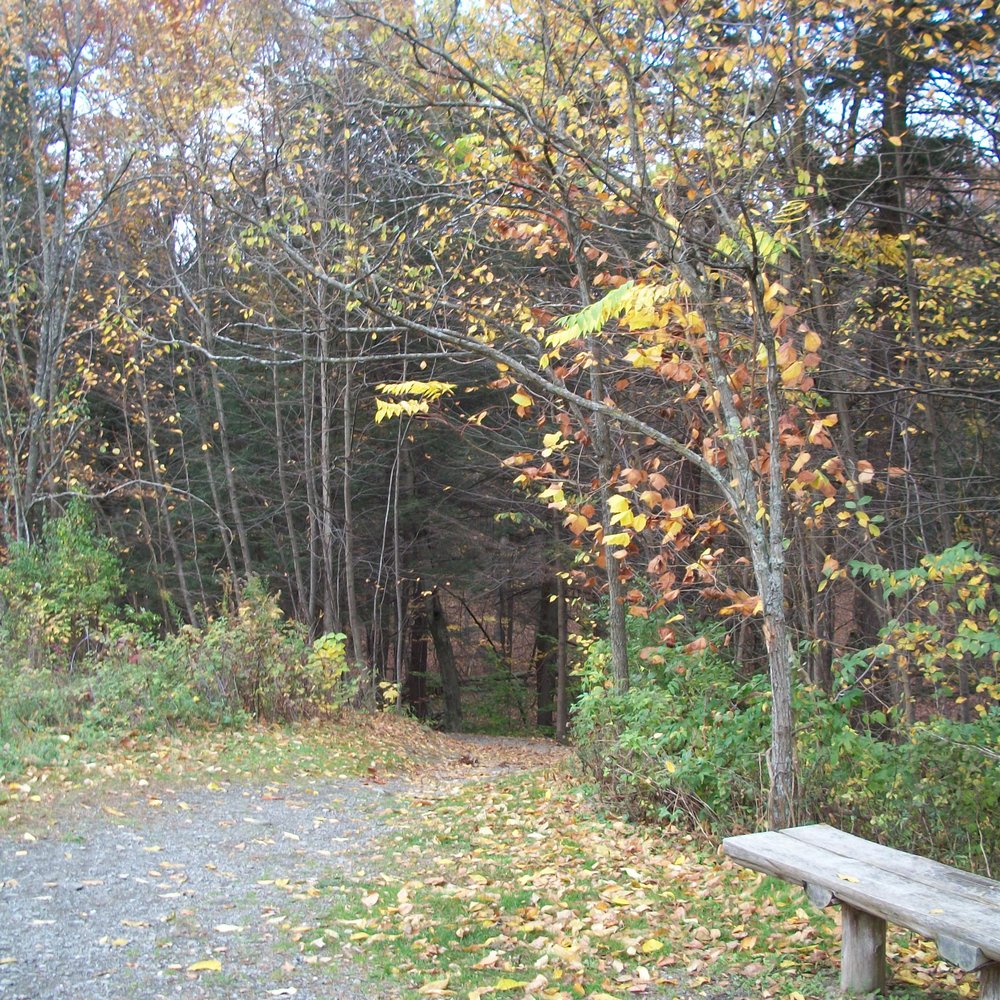 Entrance Entrance