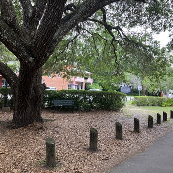 Micanopy - Local Flavor Near Me