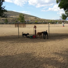 Dog park Dog park