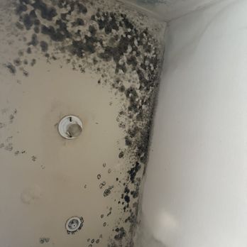 Aria on Cave Creek - Black mold from neighbors water heater leaking into my patio - Apartments Near Me - Phoenix, Arizona