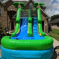 Best House Party Rentals - 13ft palm only 130 dry 175 wet