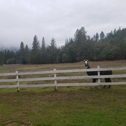 Cascade Mountain Ranch