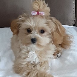 Princess Gracie!