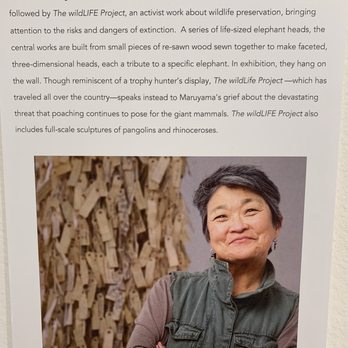 Fresno Art Museum - Wendy Maruyama - Art Museums Near Me - Fresno, California