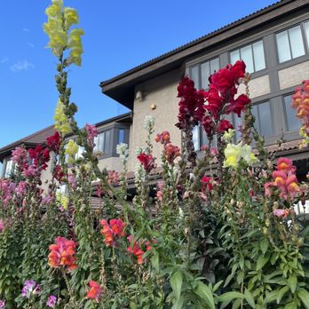 Farm & Fire - Exterior Hotel Planters - Canadian (New) Near Me - Banff, Alberta Farm & Fire - Exterior Hotel Planters - Canadian (New) Near Me - Banff, Alberta