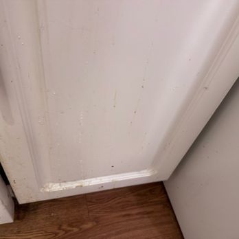 Spruce Cleaning - Pressure Washers Near Me Spruce Cleaning - Pressure Washers Near Me