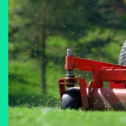Curtis Lawn Care