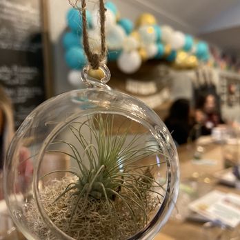 Gather Studio and Events - Hanging succulent we made. - Art Classes Near Me - Orangevale, California