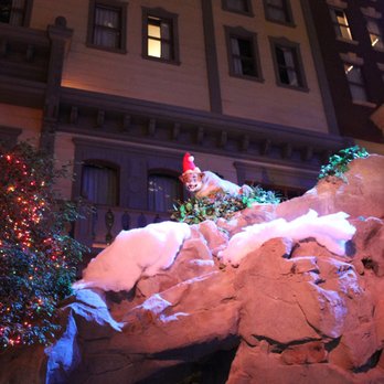 Mystic Falls Park - I see you mountain lion! - Performing Arts Near Me - Las Vegas, Nevada