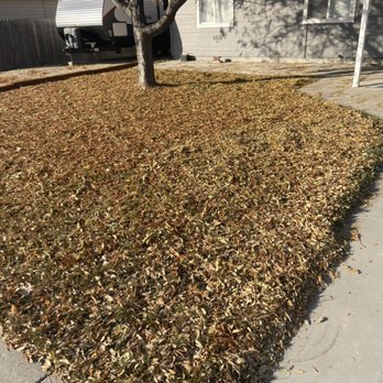 Kuna Grass Works - Before - Lawn Services Near Me - Kuna, Idaho Kuna Grass Works - Before - Lawn Services Near Me - Kuna, Idaho