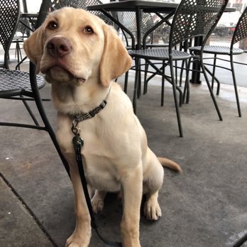 Chowder Hut - Lucky enjoyed the outdoor seating area! - Seafood Near Me - San Francisco, California Chowder Hut - Lucky enjoyed the outdoor seating area! - Seafood Near Me - San Francisco, California