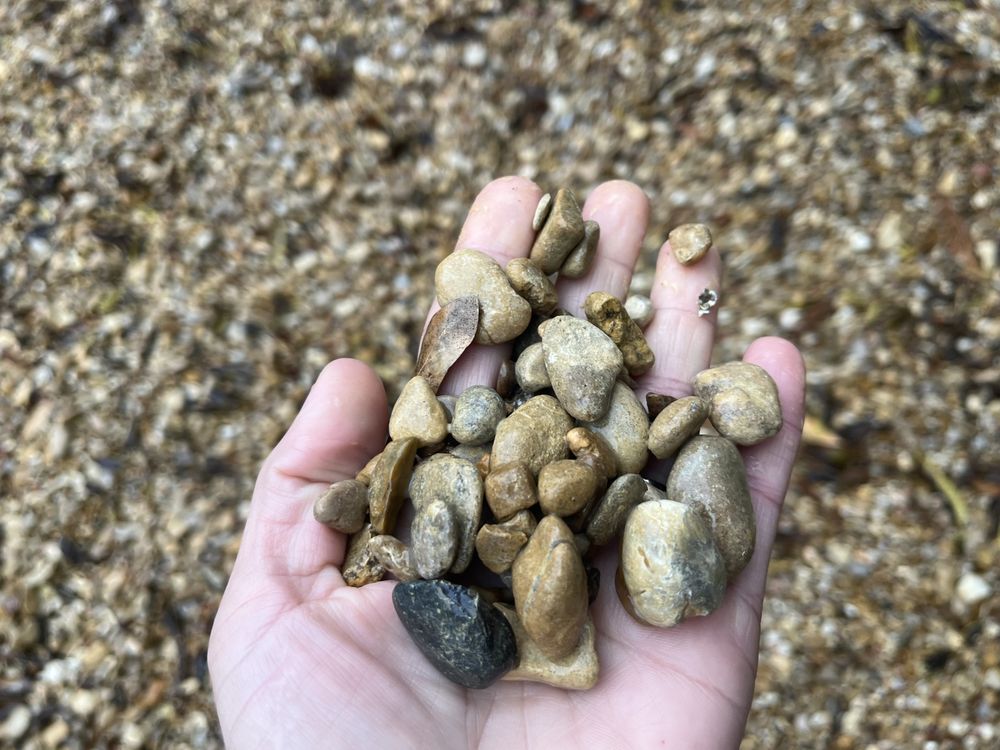 BOWDEN’S AGGREGATE Updated June 2024 Mexia, Texas Home & Garden