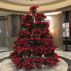 River Strand - Poinsettia Christmas Tree In the lobby