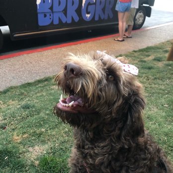 BRR GRR - a dog with its mouth open - Food Trucks Near Me - San Diego, California BRR GRR - a dog with its mouth open - Food Trucks Near Me - San Diego, California