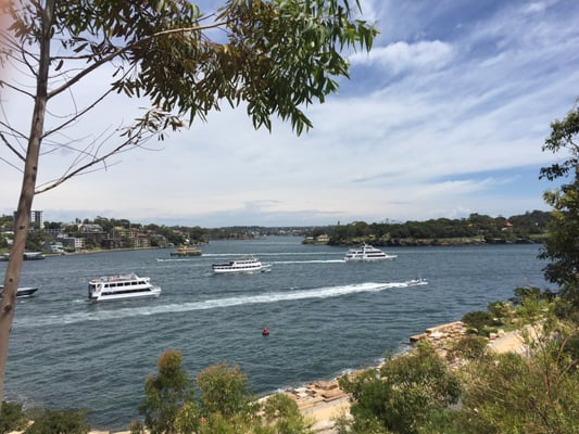 Barangaroo Reserve by null
