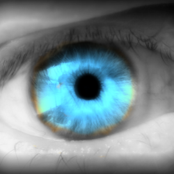 Clifton Park Eye Care Associates