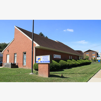Keystone Veterinary Emergency & Referral - Veterinarians Near Me - Havertown, Pennsylvania Keystone Veterinary Emergency & Referral - Veterinarians Near Me - Havertown, Pennsylvania
