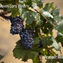 Daven Lore Winery