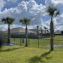 Photo of Beach Complete Lawn Care