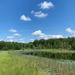On trail view