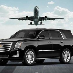 Dodo Limo & Transportation