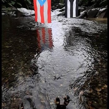 El Yunque Rainforest - Hiking Near Me - Luquillo, Puerto Rico