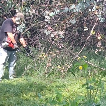 Lopezninjas clean outs - Yard work - Junk Removal & Hauling Near Me Lopezninjas clean outs - Yard work - Junk Removal & Hauling Near Me