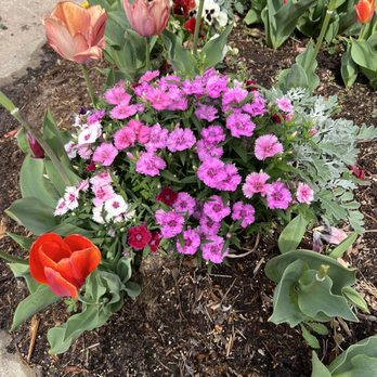 TLC Garden Centers - Nurseries & Gardening Near Me - Oklahoma City, Oklahoma