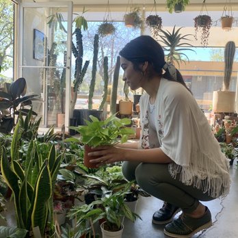 Public Land Store - Nurseries & Gardening Near Me - Sacramento, California Public Land Store - Nurseries & Gardening Near Me - Sacramento, California