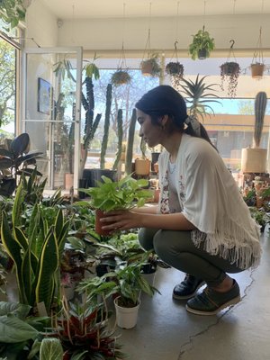 Public Land Store by null