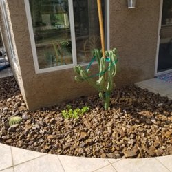 Desert Design & Landscape