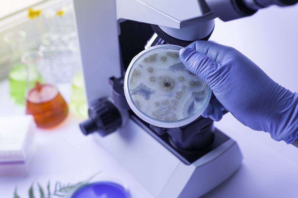 Enviro-Mist - mold inspector in Hutchinson, KS