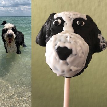 Christie's Cake Pops - The sheepadoodle - Desserts Near Me Christie's Cake Pops - The sheepadoodle - Desserts Near Me